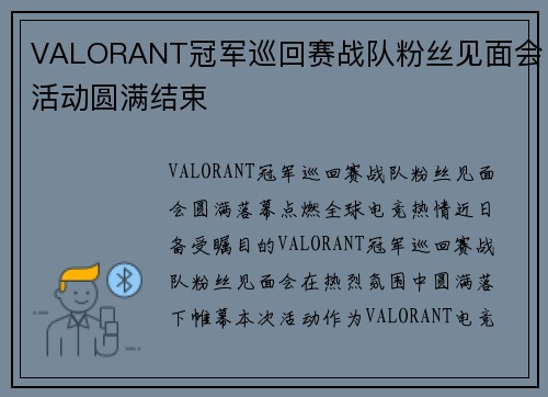 VALORANT冠军巡回赛战队粉丝见面会活动圆满结束