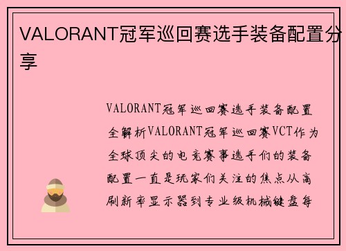 VALORANT冠军巡回赛选手装备配置分享