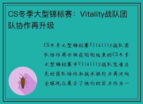 CS冬季大型锦标赛：Vitality战队团队协作再升级