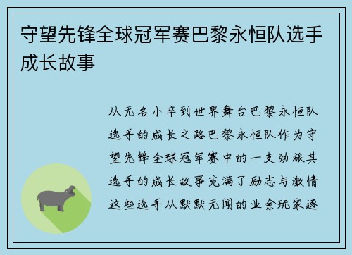 守望先锋全球冠军赛巴黎永恒队选手成长故事