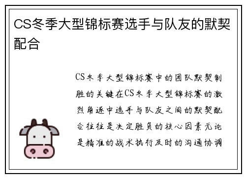 CS冬季大型锦标赛选手与队友的默契配合