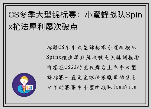 CS冬季大型锦标赛：小蜜蜂战队Spinx枪法犀利屡次破点